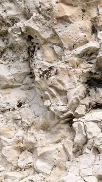 Light limestone with interesting texture visible. background Foto stock