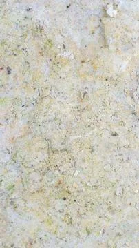 Light limestone with interesting texture visible. background Stock Photos