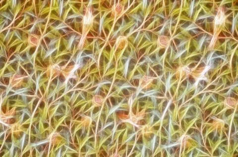 Light lines, bird drawing on tree branches Stock Illustration