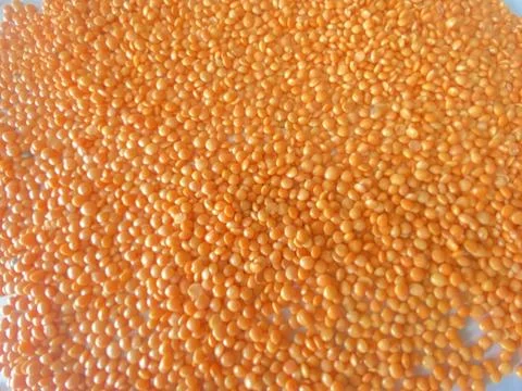 Light massor dal Stock Photos