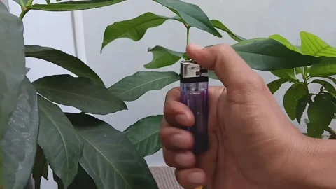 Light a match with one hand (1) Stock Footage 236570155