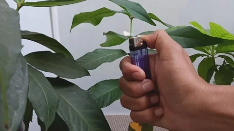 Light a match with one hand (2) Stock Footage 236650035