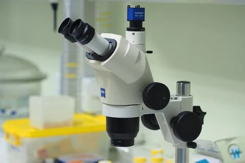 Light microscope with Zeiss optics in the laboratory of the university. Stock Photos