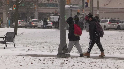 Light to moderate pretty snow and windy in the the city on cold winter day. Stock Footage 44573798