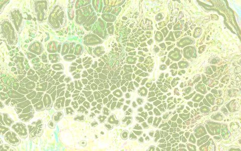 Light monochrome abstract texture with Fluid Art bubbles effect. Stock Illustration