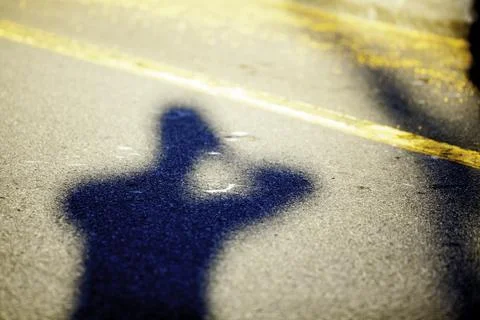 Light Movment. Фото