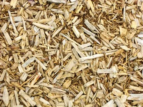 Light mulch Foto stock