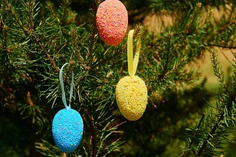 Light multi colored festive Easter eggs on fir branches in sunny spring day Stock Photos
