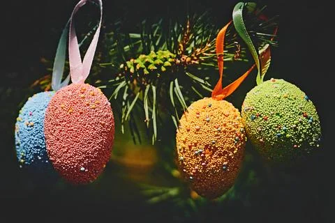 Light multi colored festive Easter eggs on fir branches in sunny spring day Stock Photos