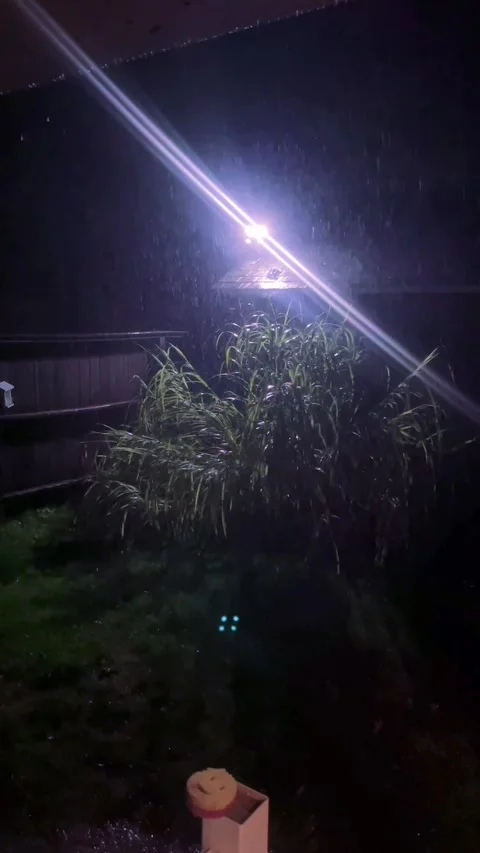 Light at night Stock Footage 279523398