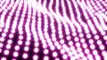 Light ocean grid flow pattern abstract background pink HD Footage
