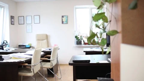 Light office work Manager Director, business Stock Footage 88437711