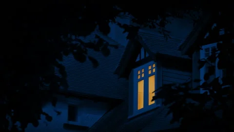Light On Or Off In Room At Night Stock Footage 233446611