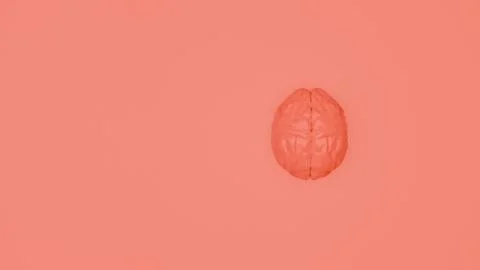 Light orange reflective brain on smooth orange background.. Stock Photos