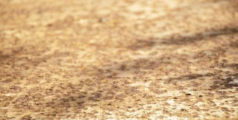 Light orange texture. Horizontal surface for place objects. Bright colorful.. Stock Photos