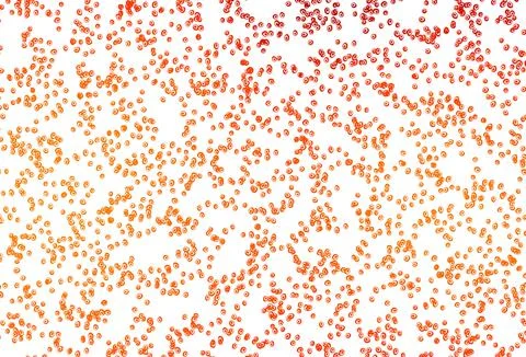 Light Orange vector background with bubbles. Stock Illustration