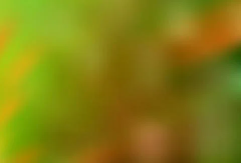 Light Orange vector blurred bright pattern. 库存插图