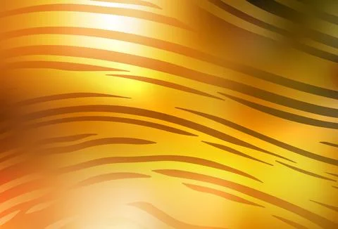 Light Orange vector blurred shine abstract background. Stock Illustration