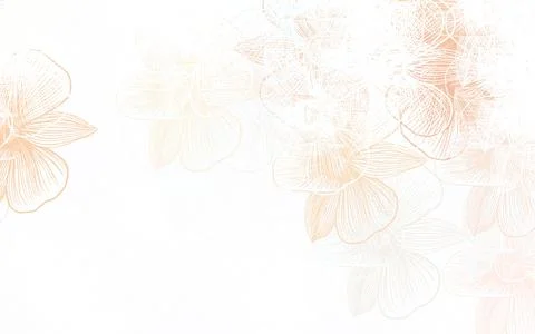 Light Orange vector elegant pattern with flowers. Stock Illustration