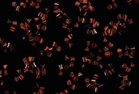 Light Orange vector layout with circles, lines, rectangles. 스톡 일러스트