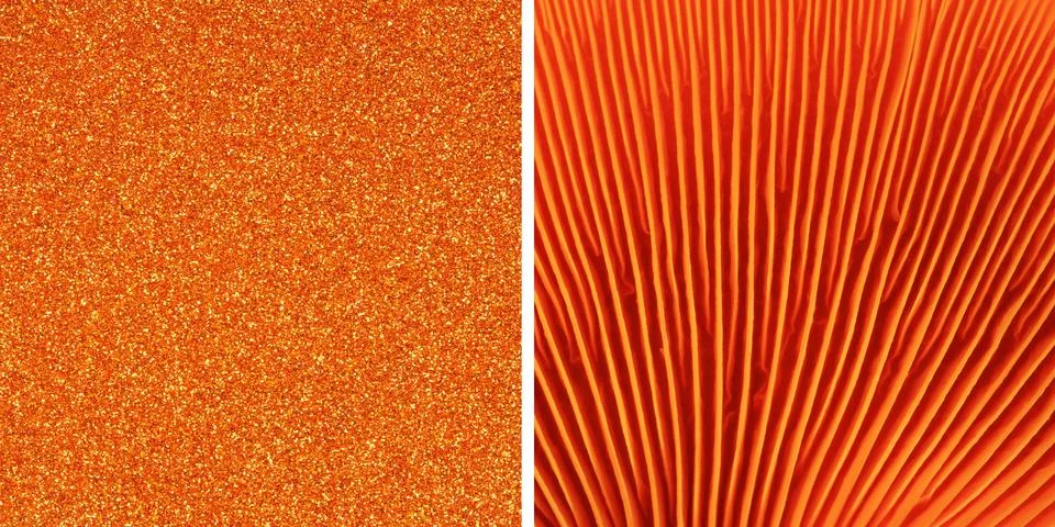 Light Orange vector pattern. Shining illustration, which consist of blurred.. Stock Illustration