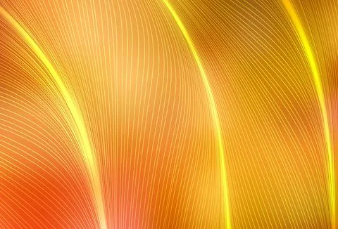 Light Orange vector texture with bent lines. Stock Illustration