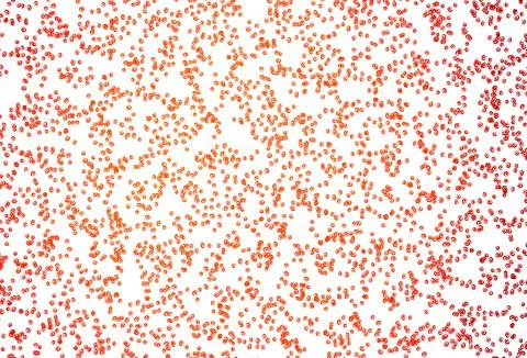 Light Orange vector texture with disks. Stockillustratie