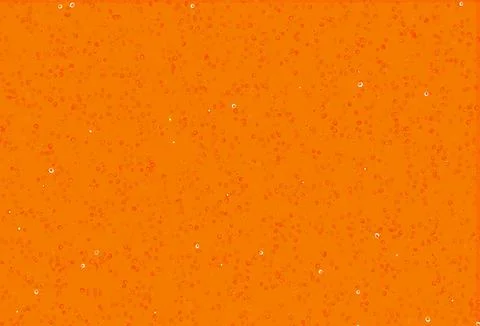 Light Orange vector texture with disks. 스톡 일러스트