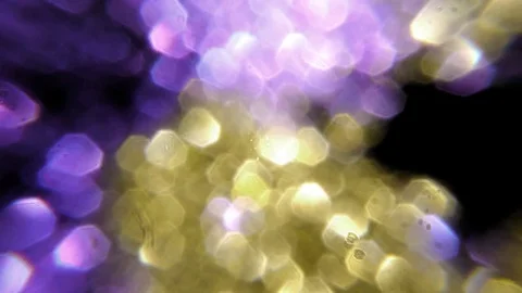 Light out of focus background Stock Footage 75397111