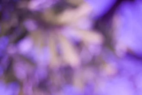 Light out of focus background Stock Photos