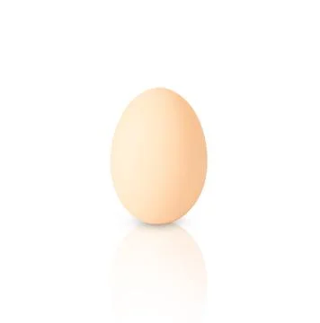 Light oval chicken egg isolated on white background Stock Photos