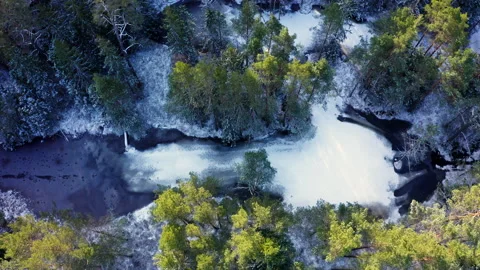 Light over an endless forest in winter Stock Footage 170445527