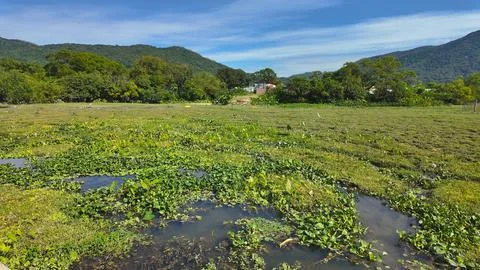 A Light Over Pui O Wetlands Hong Kong Oct 25 2025 Fotos Stock