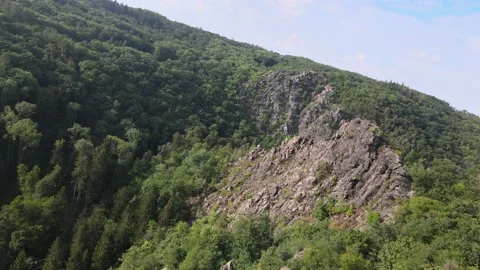 To the light over the woods Stock Footage 207769411