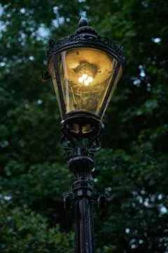 Light in the park Stock Photos