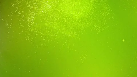 Light particles and bubbles moving in an abstract green liquid. Stock Footage 314834072