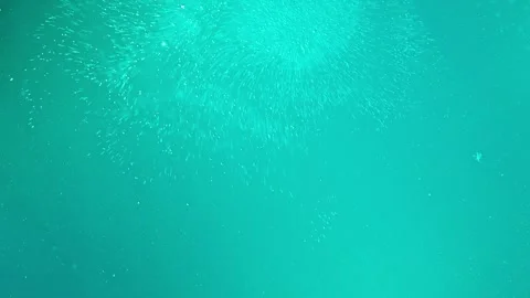 Light particles and bubbles moving in an abstract blue liquid. Stock Footage 314834308