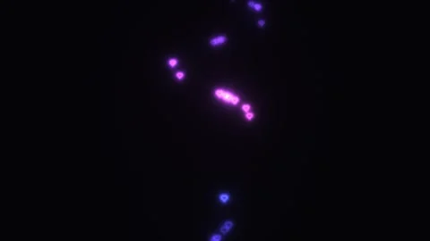 Light particles move in a swirling pattern against a dark Stock Footage 339091962