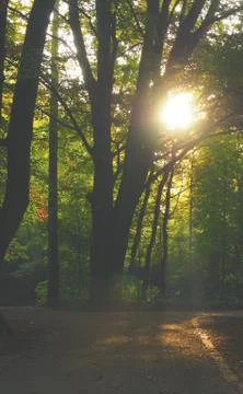 Light the pathway Stock Photos