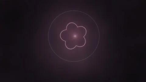 Light patterns create flower shapes in dark background Stock Footage 339327185