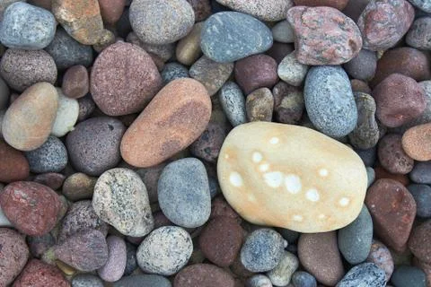 Light pebble on a background of dark pebble Stock Photos