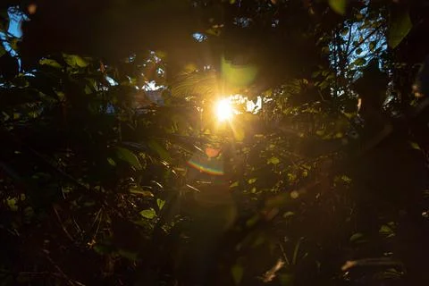 Light penetrates 스톡 사진