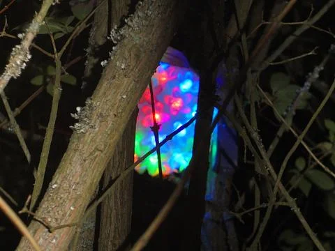 Light performance art: Dense bush twigs encasing an orb of luminous blooms. Stock Photos
