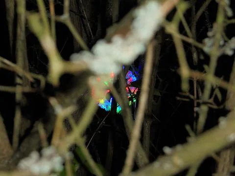 Light performance art: Rainbow luminous orb of light hidden in a bush. Stock Photos