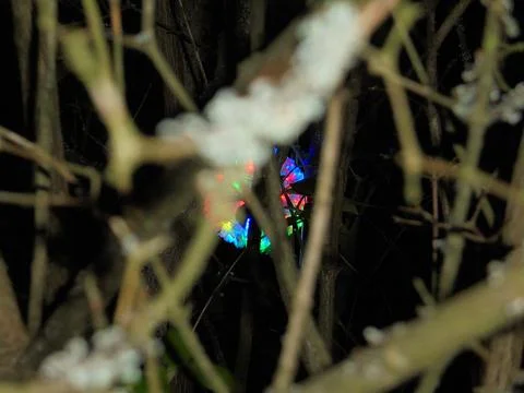 Light performance art: Rainbow luminous orb of light hidden in a bush. Stock Photos