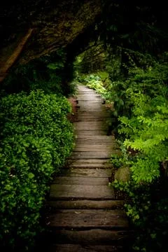 Into the Light Stock Photos