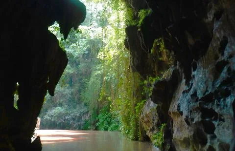 Into the Light Фото