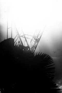 Light is up Фото