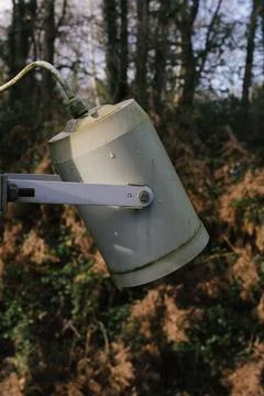 The light Foto stock