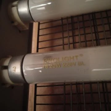 Light Fotos de archivo